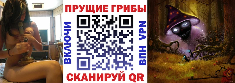Купить закладки  Палласовка  Псилоцибиновые грибы Psilocybine cubensis 